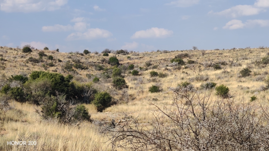 0 Bedroom Property for Sale in Cradock Eastern Cape